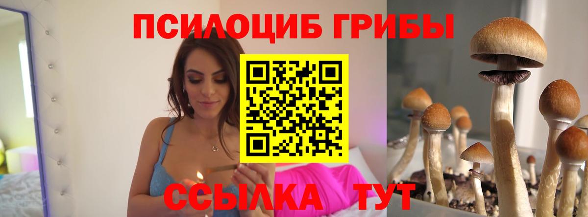 Видное  Галлюциногенные грибы Psilocybe  Псилоцибиновые грибы GOLDEN TEACHER  Вход с VPN 